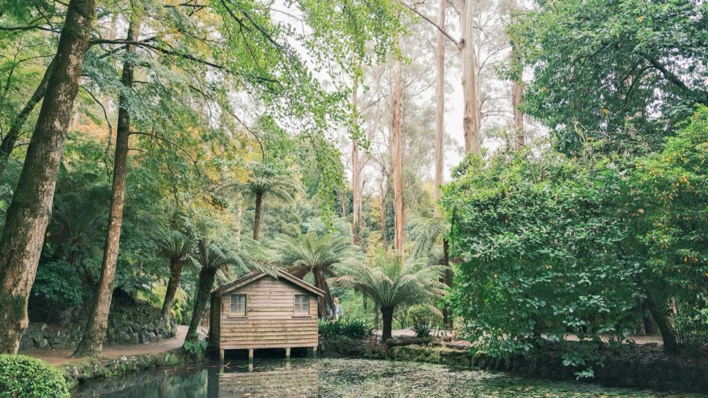 Gîte de charme en Sologne : étangs, forêts et calme absolu