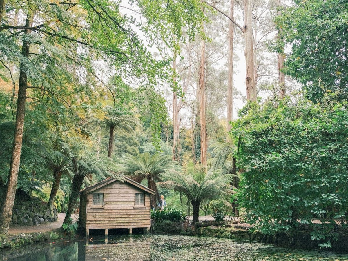 Gîte de charme en Sologne : étangs, forêts et calme absolu